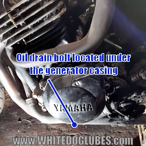 Oil drain bolt shown below the generator casing on a 600 Fazer