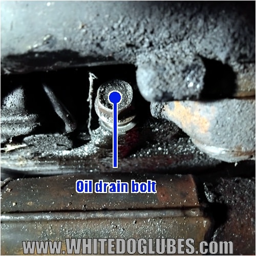 Close up of the oil drain bolt on the left side of the engine