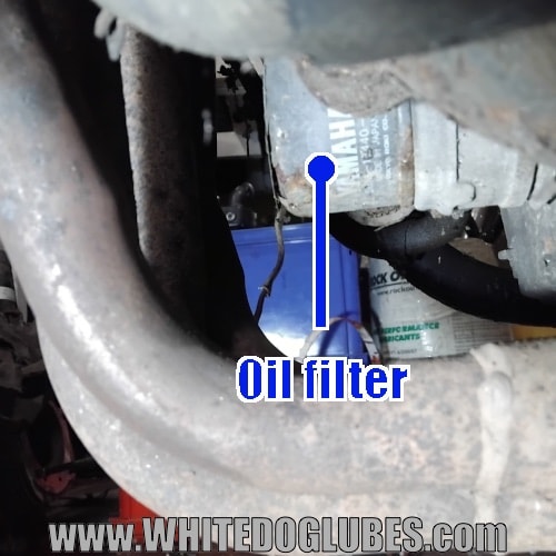 600 Fazer Oil filter location on the front of the engine behind the exhaust downpipes