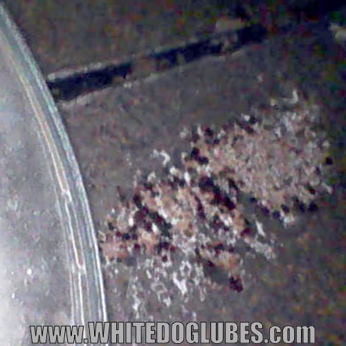 Rust inside the tank